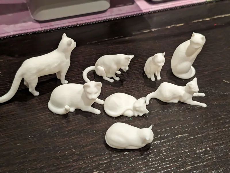 Assorted Cats 