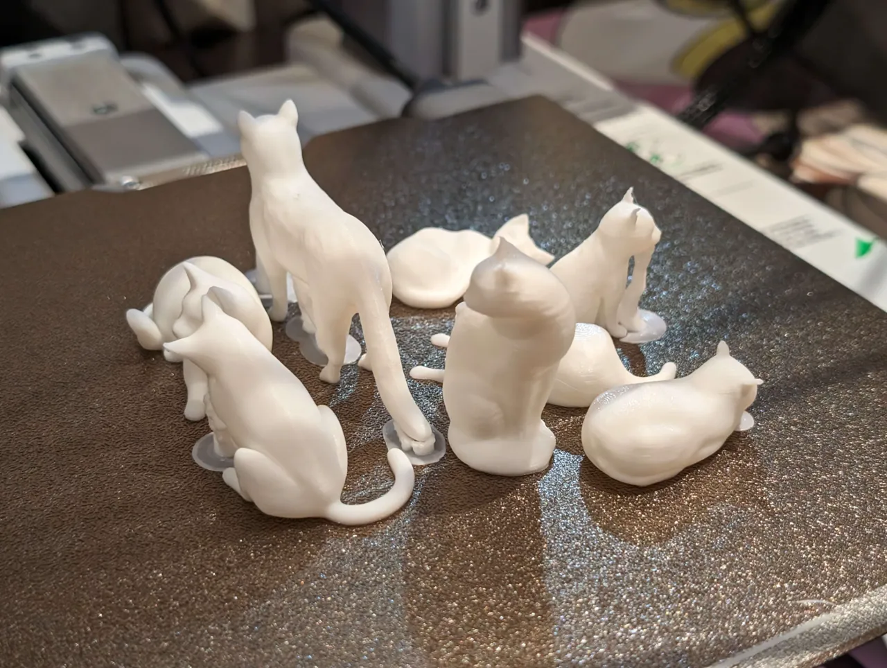 Assorted Cats view 2