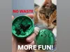 0.16mm layer, 2 walls, 10% infill