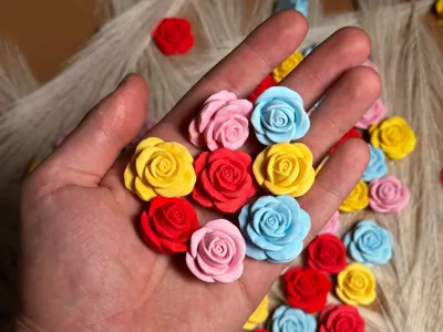 Mini Roses