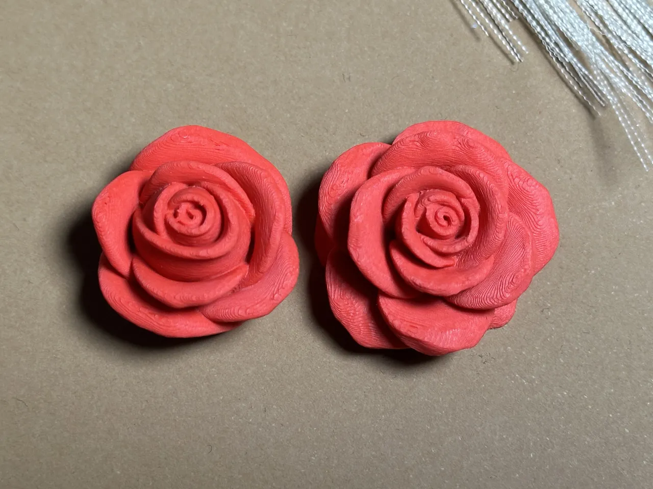 Mini Roses view 2
