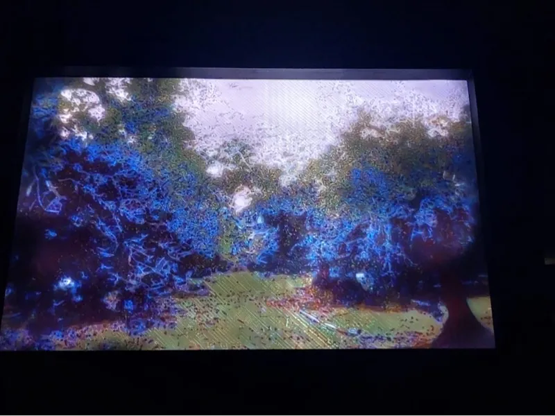 litophania alberi di ulivo