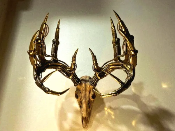 https://makerworld.bblmw.com/makerworld/model/US3d35cf9e117e8c/design/858ee06f9067f057.png