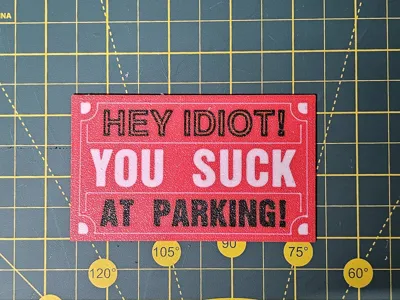 Hey Idiot! You Suck at Parking Gag Sign!