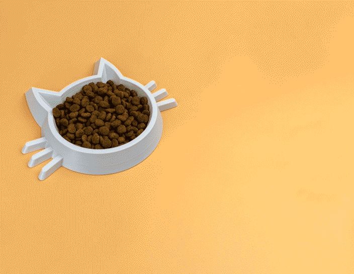 Cat Bowl | Whisker Fatigue Friendly |  Pet Feeder