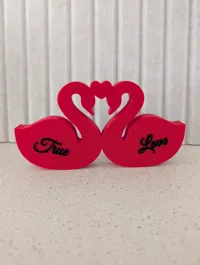 True Love - Multi Color Ironing Turned on