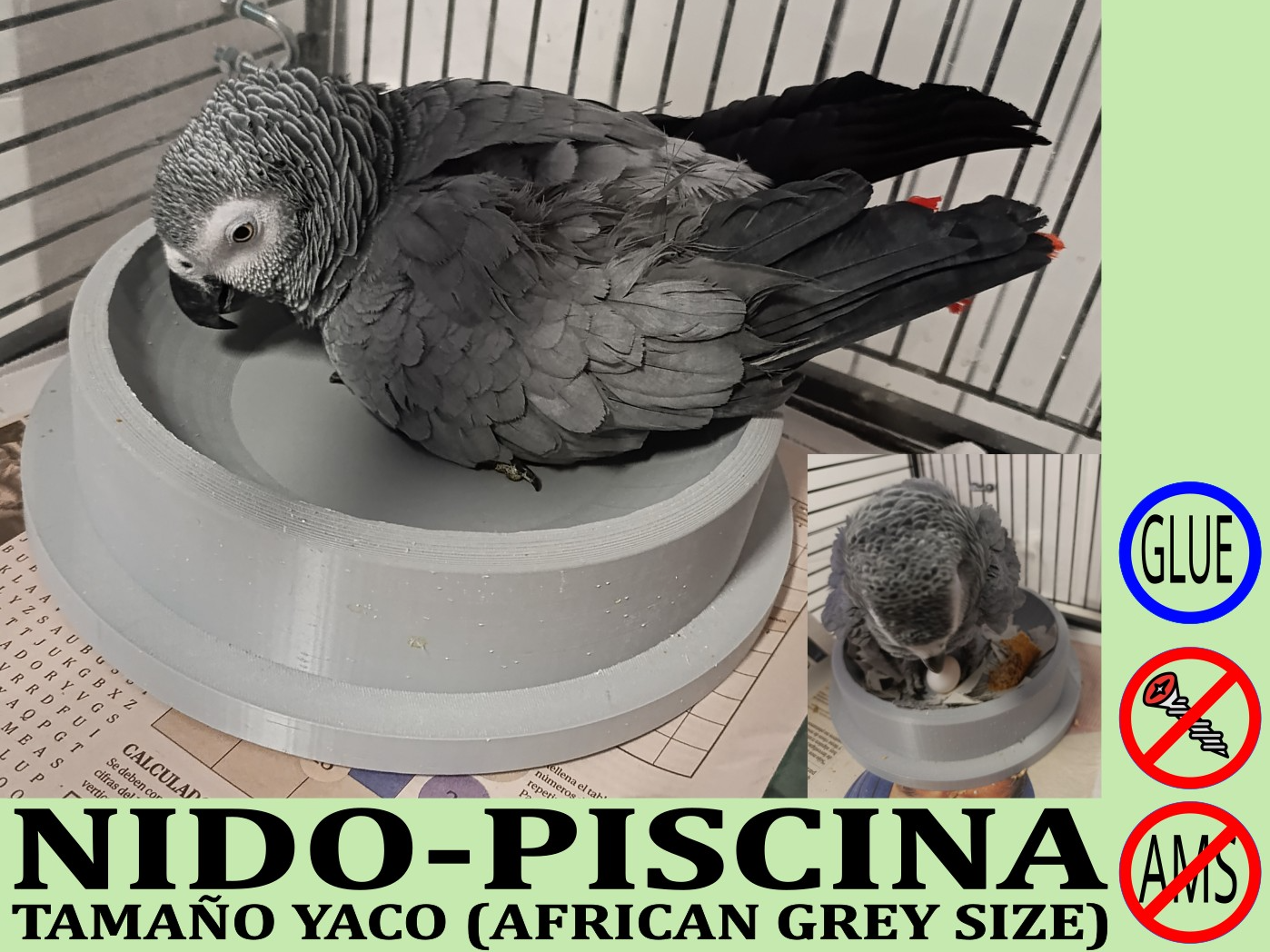 NIDO - PISCINA TAMAÑO YACO (AFRICAN GREY)