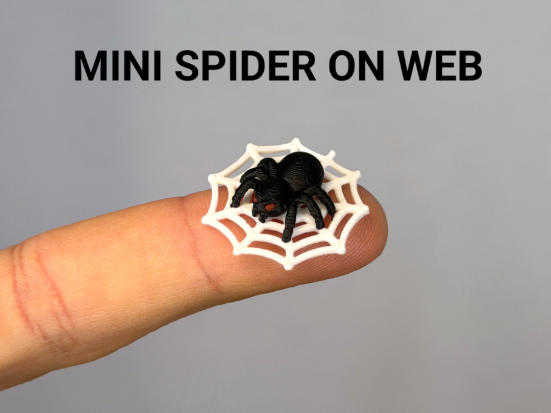Mini Spider on Web - 3D printed Animals, in stock in India