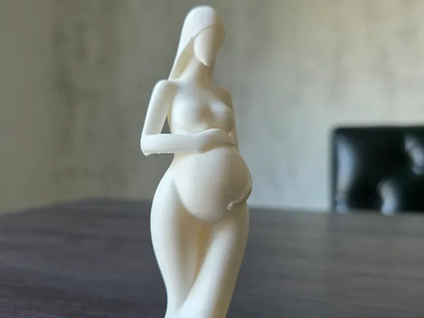 https://makerworld.bblmw.com/makerworld/model/US3d57804cf213fd/design/714778d09a7ab573.jpg