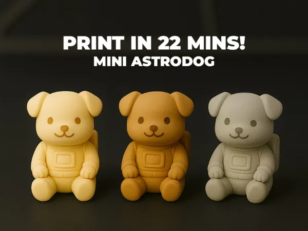 https://makerworld.bblmw.com/makerworld/model/US3d579aca3378cb/design/2025-08-20_0975bba332c208.jpg