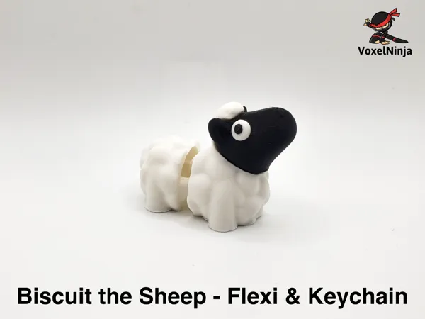 https://makerworld.bblmw.com/makerworld/model/US3d5f7e1f8404f9/design/2025-10-03_d7a3ab2504a0d.jpg