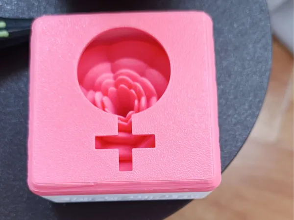 https://makerworld.bblmw.com/makerworld/model/US3d6168fe097647/design/2025-03-05_852c878f2593a.jpg