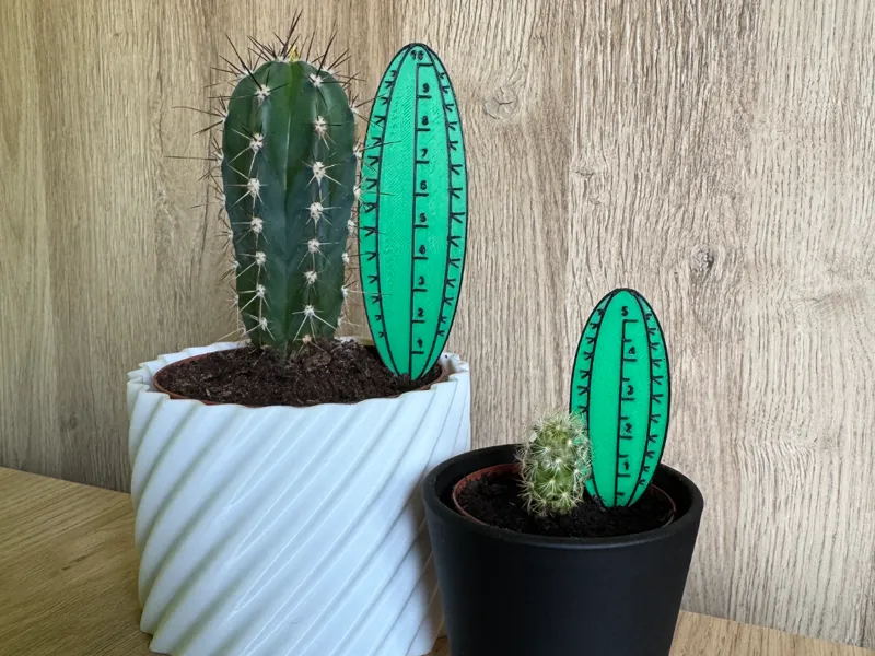 Plant growth meter cactus