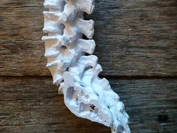 https://makerworld.bblmw.com/makerworld/model/US3d688883b7538c/design/2025-03-21_150958d5c3909.jpg