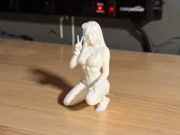 https://makerworld.bblmw.com/makerworld/model/US3d6e97cfe9d484/design/256d739309e93281.jpeg