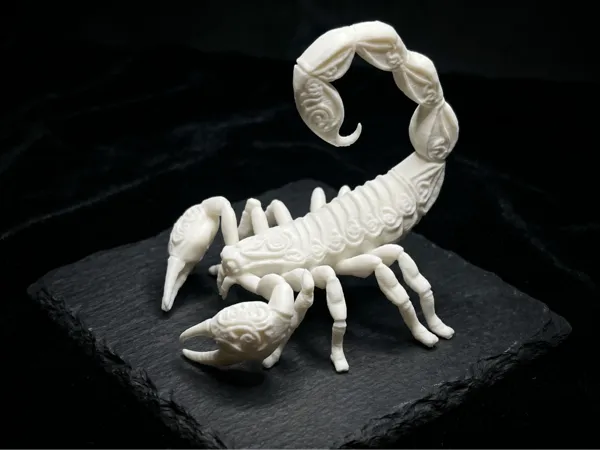 https://makerworld.bblmw.com/makerworld/model/US3d792451b2b3dc/design/d8064a22b2d0e569.jpeg
