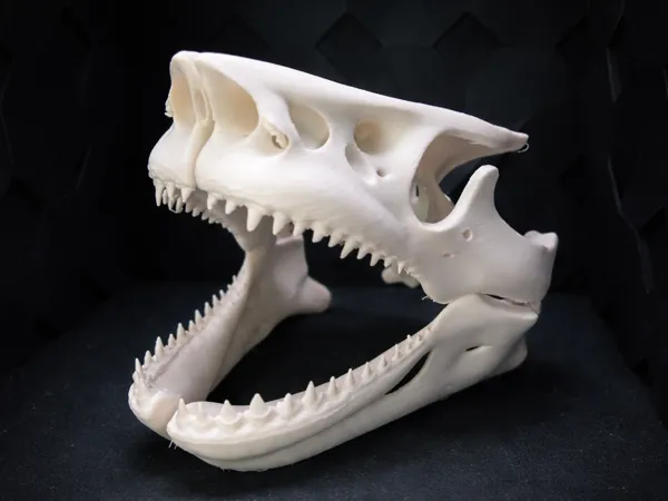 https://makerworld.bblmw.com/makerworld/model/US3d79c50a406930/design/43347ca65523d7f7.png