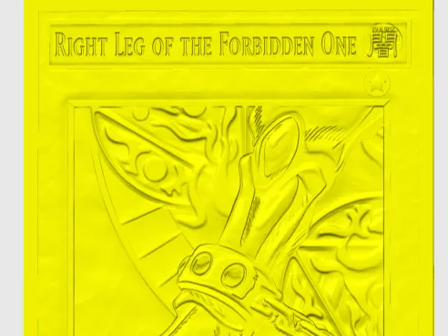 Right Leg of The Forbidden One