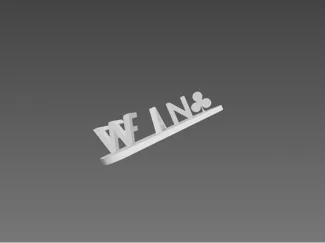 Ambigramma 3D WIN FAIL –motivazionale reversibile