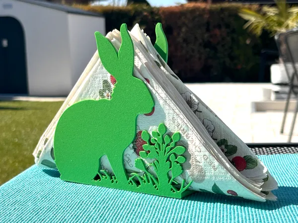 https://makerworld.bblmw.com/makerworld/model/US3d8084c574bfa6/design/2025-03-23_327627943182b.jpeg
