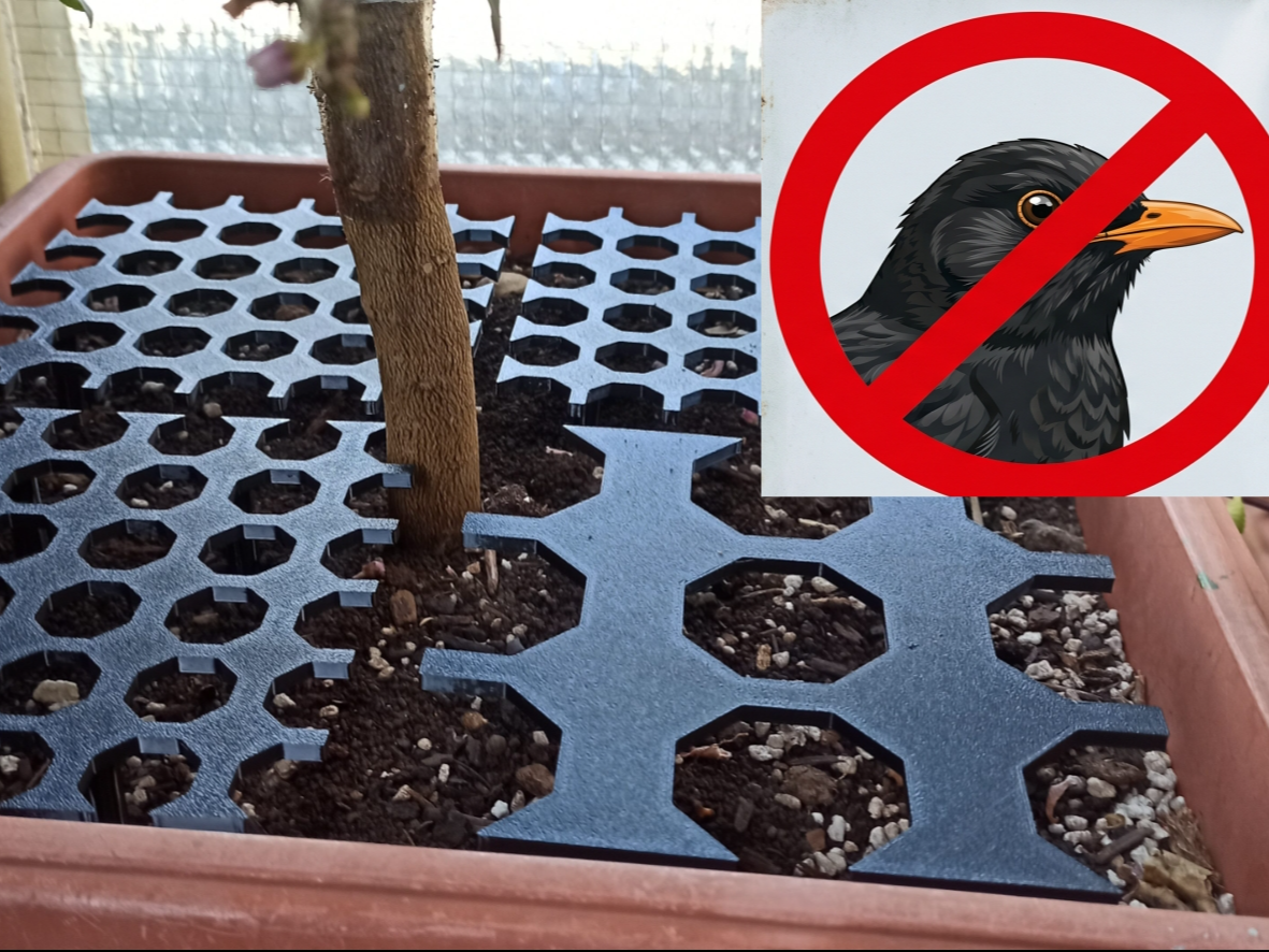 Soil cover - Protects from birds and bad weather