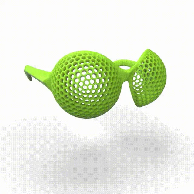 Compound eyes shades