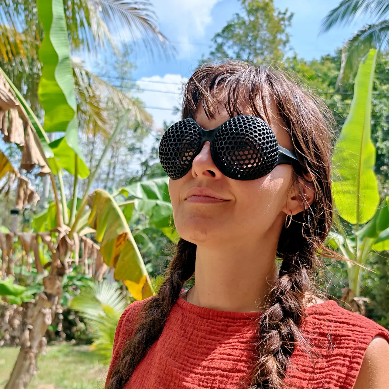 Compound eyes shades view 3