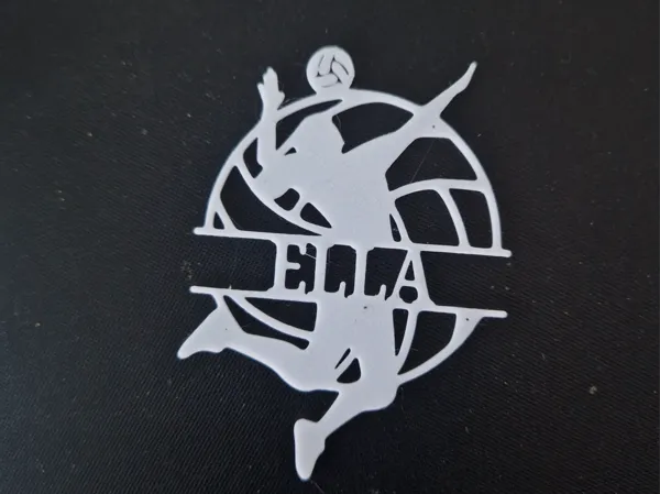 https://makerworld.bblmw.com/makerworld/model/US3d87498849e0b9/design/2025-05-23_e77c12ddaf2158.jpg