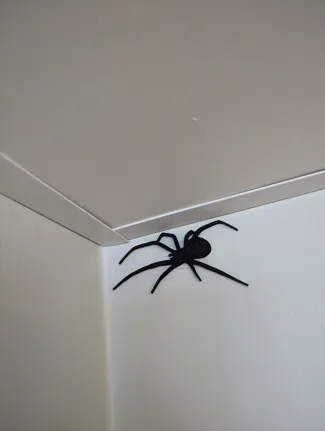 Spider PRANK