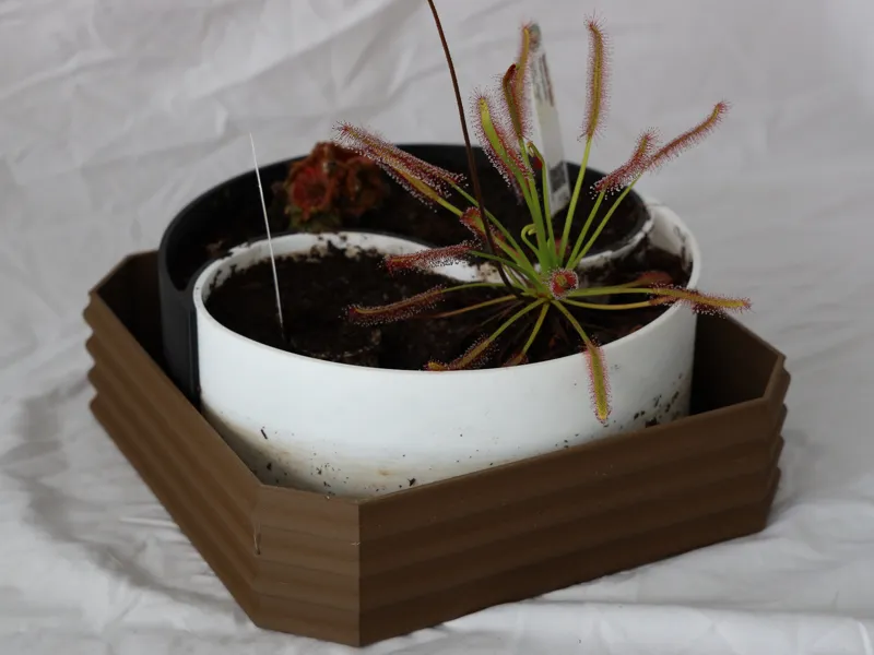 Yin-Yang Bottom-Watering Flower Pot (AMS Optional)