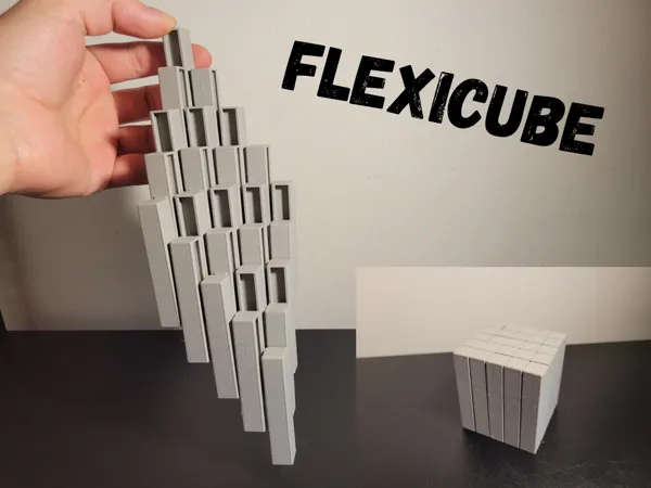 https://makerworld.bblmw.com/makerworld/model/US3d924ba1b70959/design/2025-07-29_cdc1a3d5d7e228.png
