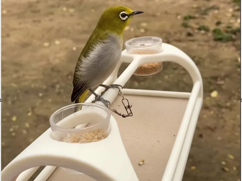 Bird Stand 