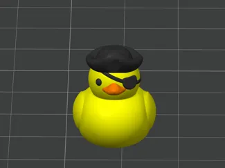 Pirate duck