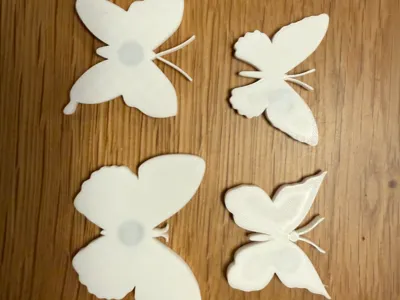Little Butterflys