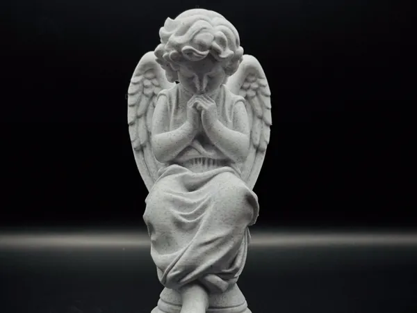 https://makerworld.bblmw.com/makerworld/model/US3da515351521ff/design/2025-09-23_f9eb478c62b498.jpg
