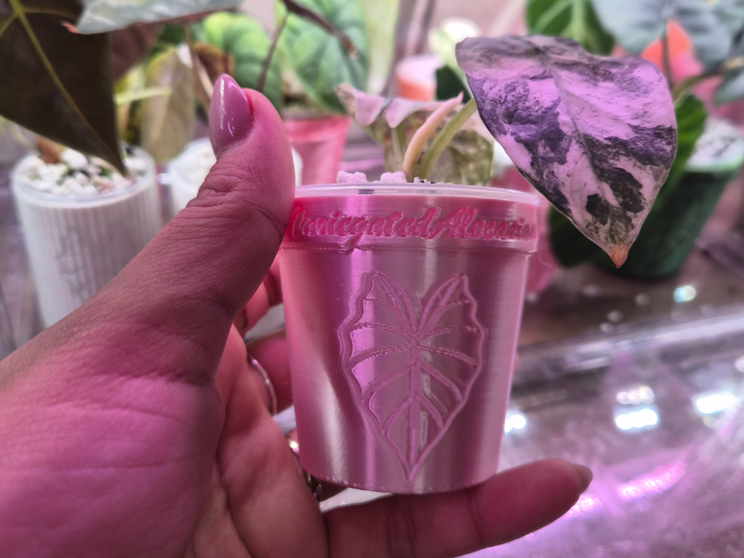 self watering pot for pups 3D model