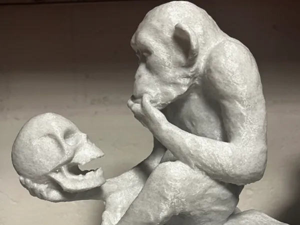 https://makerworld.bblmw.com/makerworld/model/US3da85c4c525d18/design/2025-05-31_b50d24a7e882.jpeg