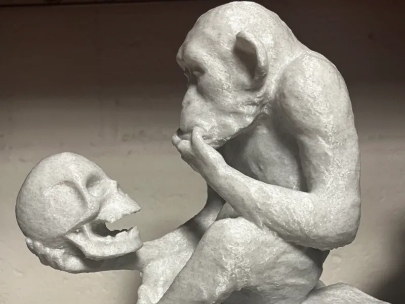 Monkey with Skull
