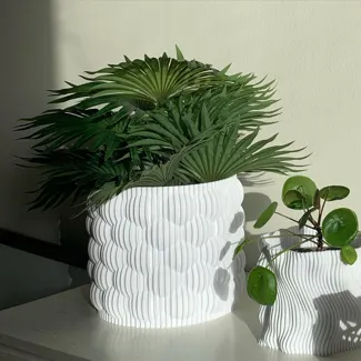 Bubbly Planter (12x12cm)