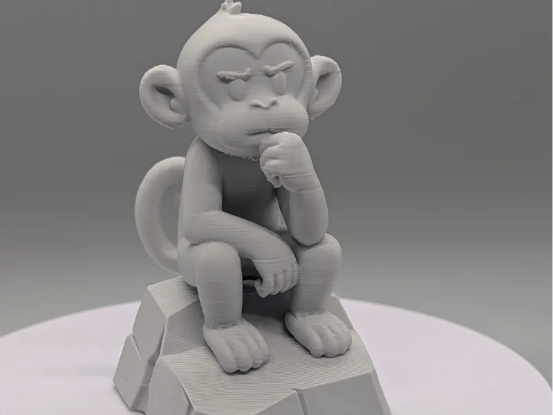 Thinking Monkey