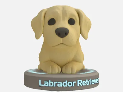 labrador retriver