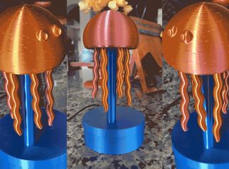 Jellyfish