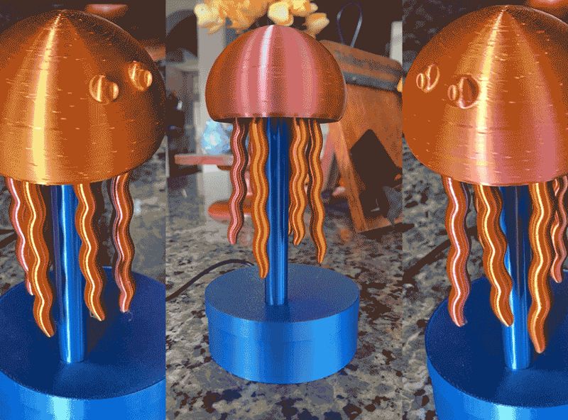 Jellyfish