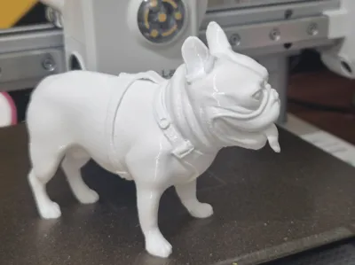 French Bulldog