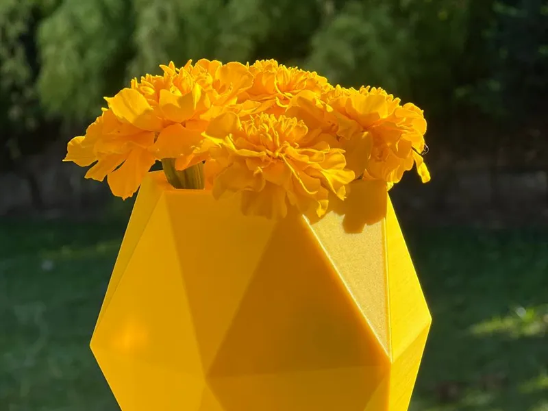 Geometric Hexagonal Planter