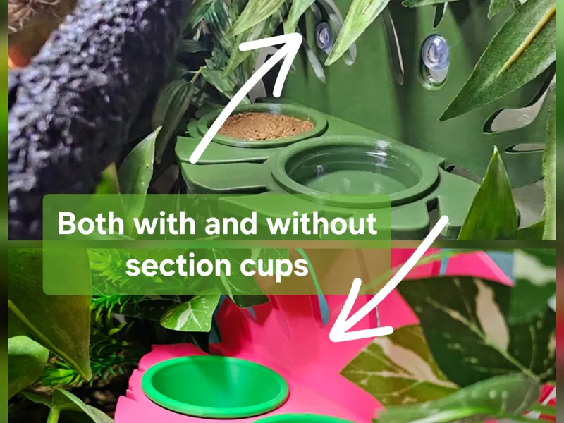 Magnet/suction cup reptile Feed ledge V3/3.5"