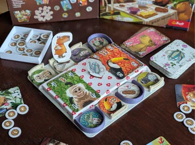 Capybara Cookie Club - Custom Board (Kapibary PL)