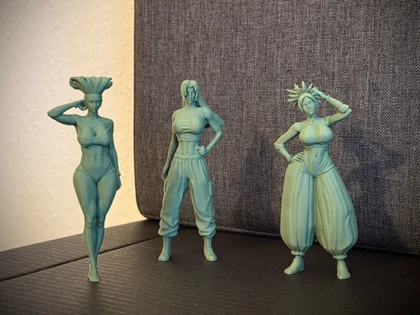 https://makerworld.bblmw.com/makerworld/model/US3dc1e42b1c1493/design/ccb0257fa9c0f36d.jpg