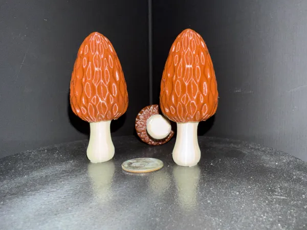 https://makerworld.bblmw.com/makerworld/model/US3dc4456e4f3fa8/design/2025-06-21_5048fe122dfa2.jpg