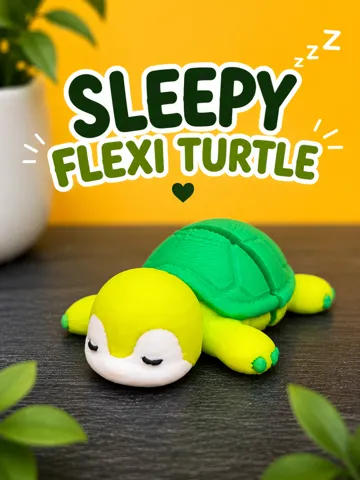 Modelo para impresión 3D: Schlafende Flexi-Schildkröte — vista de referencia 2